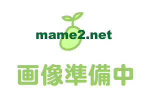 �J���[�X�|���W�{�[��